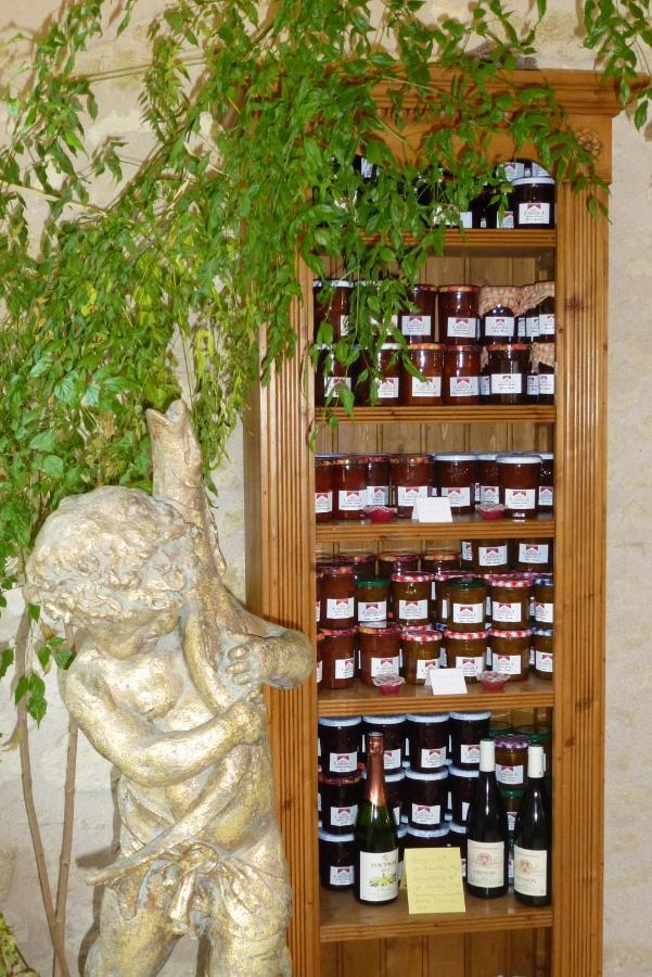 Domaine De La Maison Neuve Saint-Jean-Saint-Germain エクステリア 写真