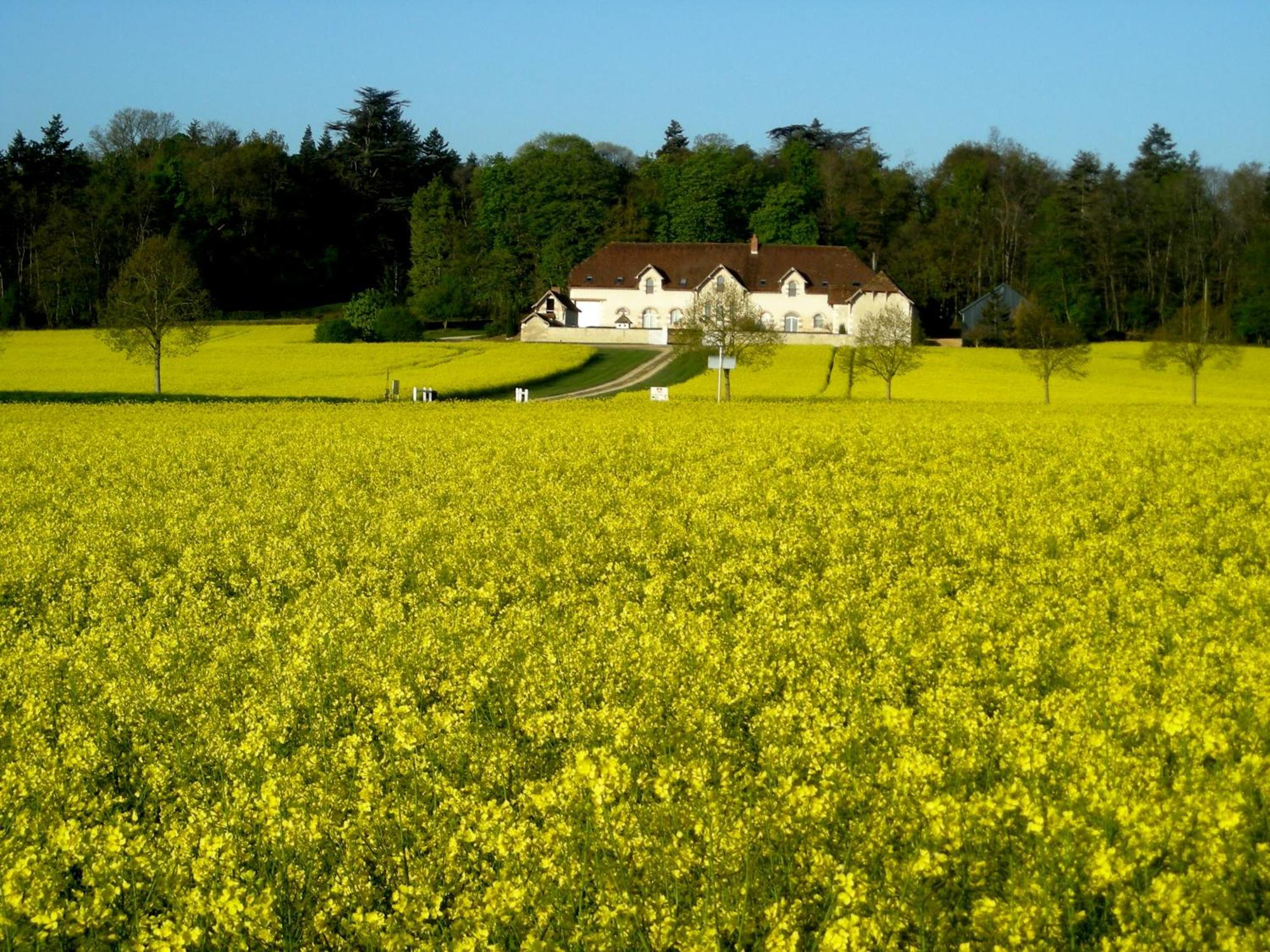 Domaine De La Maison Neuve Saint-Jean-Saint-Germain エクステリア 写真