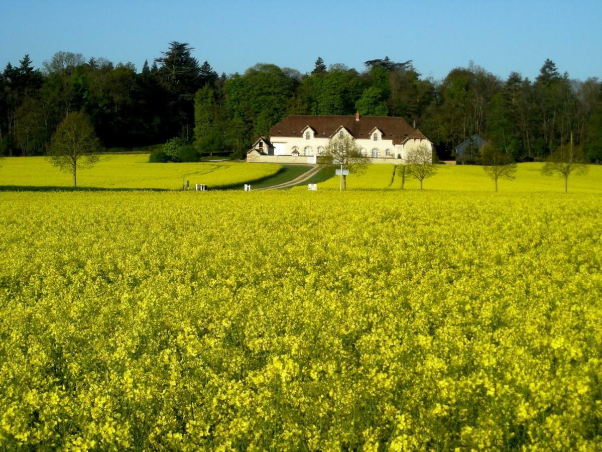 Domaine De La Maison Neuve Saint-Jean-Saint-Germain エクステリア 写真