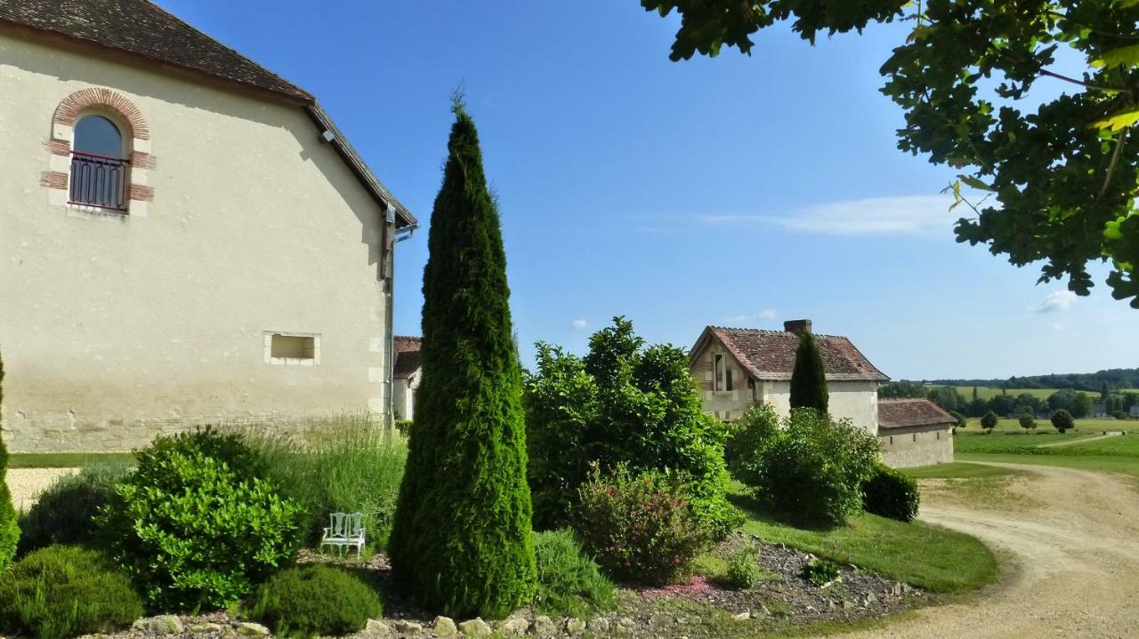 Domaine De La Maison Neuve Saint-Jean-Saint-Germain エクステリア 写真