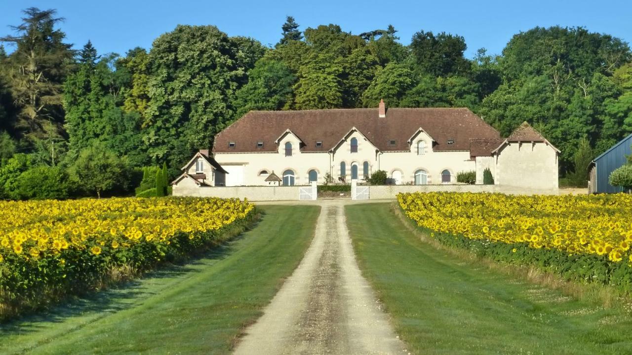 Domaine De La Maison Neuve Saint-Jean-Saint-Germain エクステリア 写真